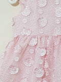 Elegant Princess Net Rose Frock - 4 Pcs - Little World