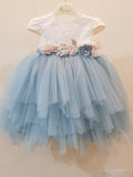 Princess Frock with  beautiful 3D floral Lace design - Little World
